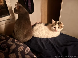 Oliver and cindy were sitting butt to butt last night and i forgot to part 1