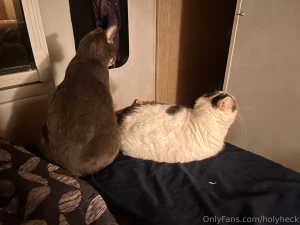 Oliver and cindy were sitting butt to butt last night and i forgot to