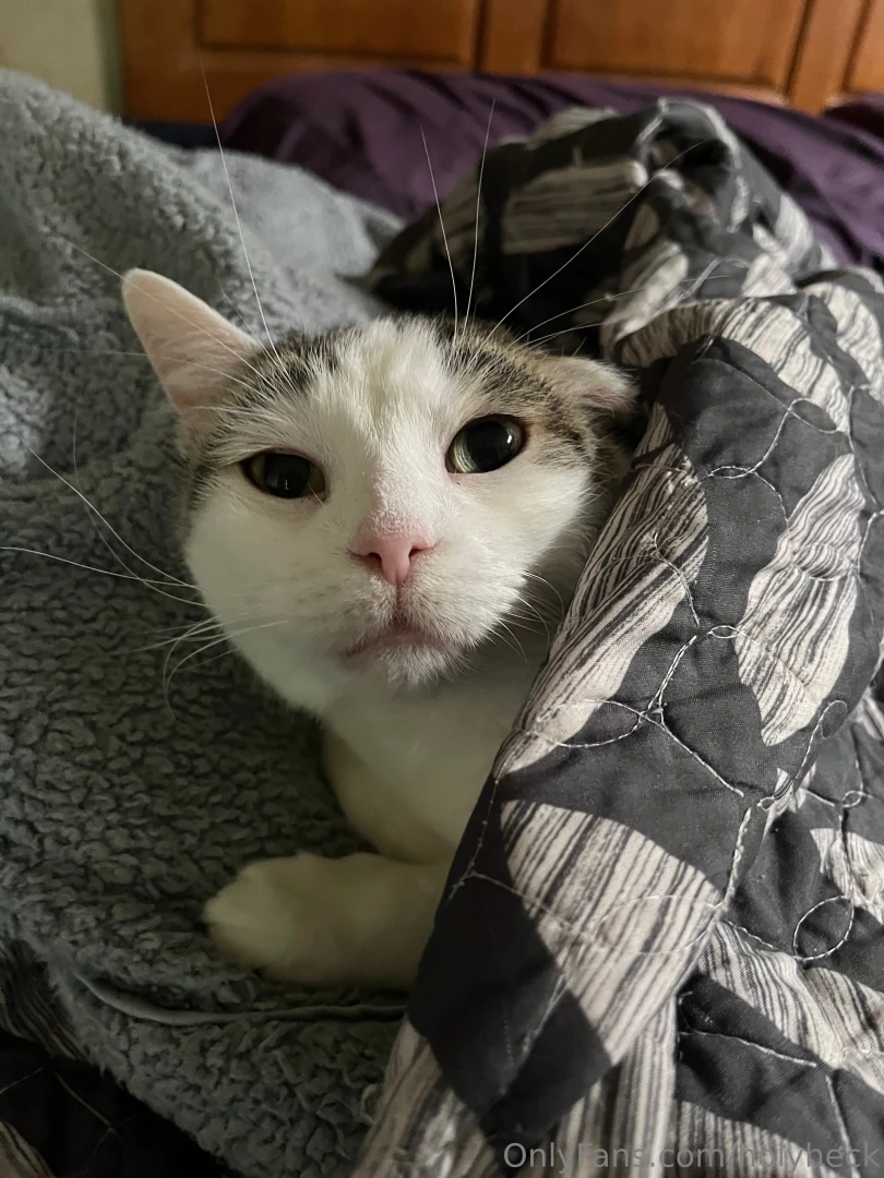 Also came back in to see cindy all wrapped up 