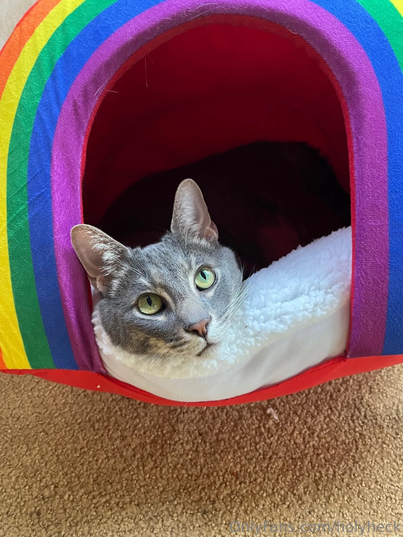 This is from earlier but look at this doooood 