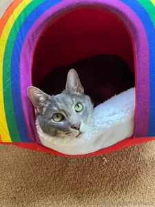 This is from earlier but look at this doooood