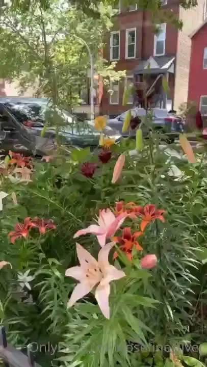 Enjoying this lovely garden don t forget to appreciate the little 