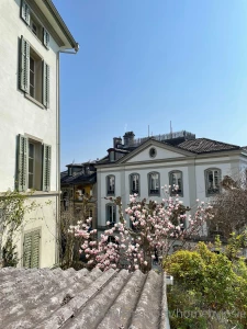 I ve seen so much beautiful architecture during my trip to switzerland part 1