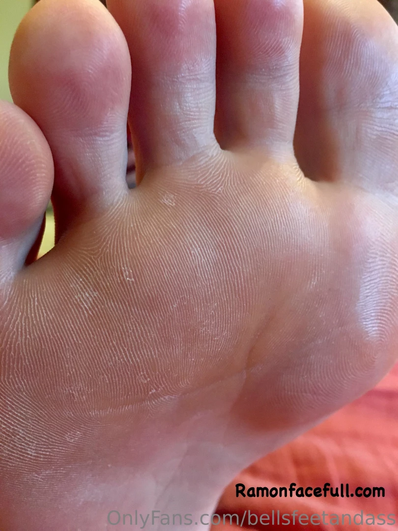 Tuesday is still toesday sorry they are a bit dry think you could wet 