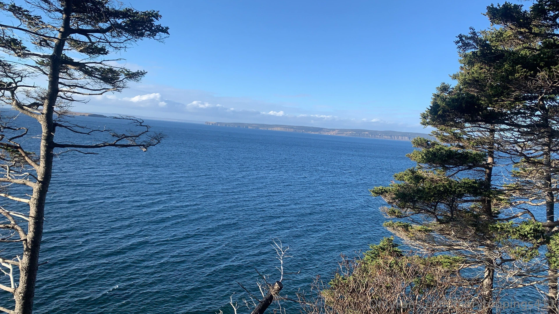 Happy new year it was a beautiful day today so i skipped the gym and part 2 