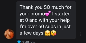 Thank you notsoinnocenthousewife for the promo review