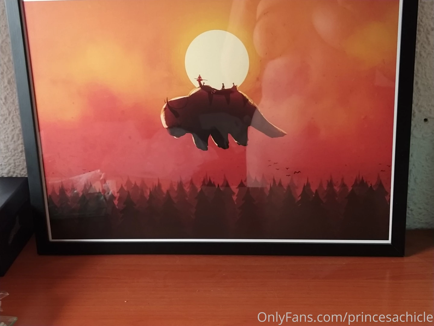 Os gusta el p ster que me he comprado el reflejo en el cristal es lo m 