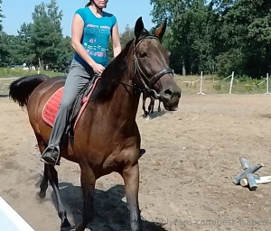 The most beautiful view of the world is from horseback or a view of