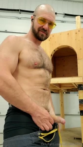 Cat tree shenanigans