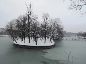 When it s winter in callablanca