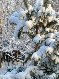 When it s winter in callablanca part 2