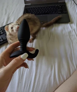 My baby little miss frito passed away today she lived right at about 8 part 2