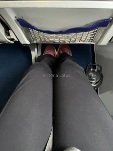 I made it to my destination in europe the next three years are going part 2