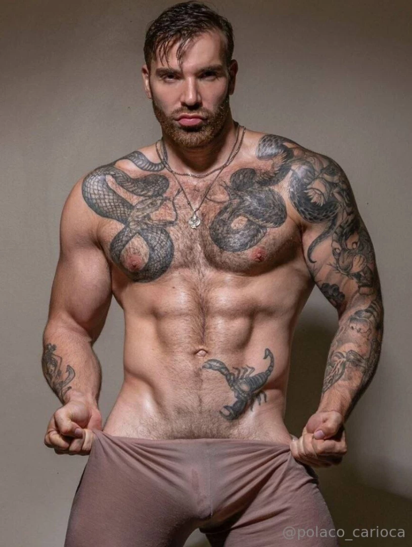 Promo - model tagged themaxhilton nbsp pornstar model bodybuilder pro 