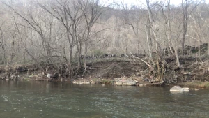 Y all know a spot because we do teasy pics river scenery part 2