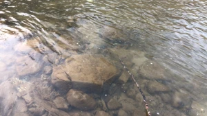 Y all know a spot because we do teasy pics river scenery