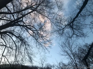 Y all know a spot because we do teasy pics river scenery part 10