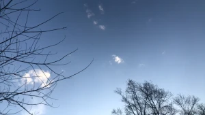 Y all know a spot because we do teasy pics river scenery part 12