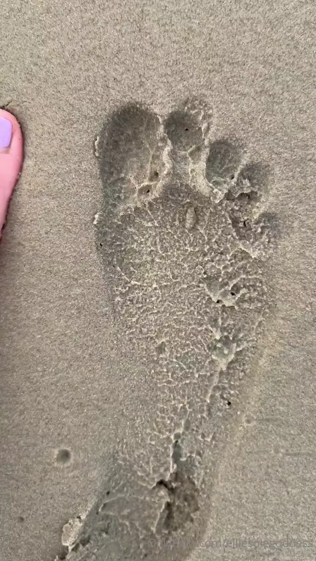 Sandy feet at the beach please excuse my screaming in the video i wasn 