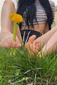 It s birds amp bees season