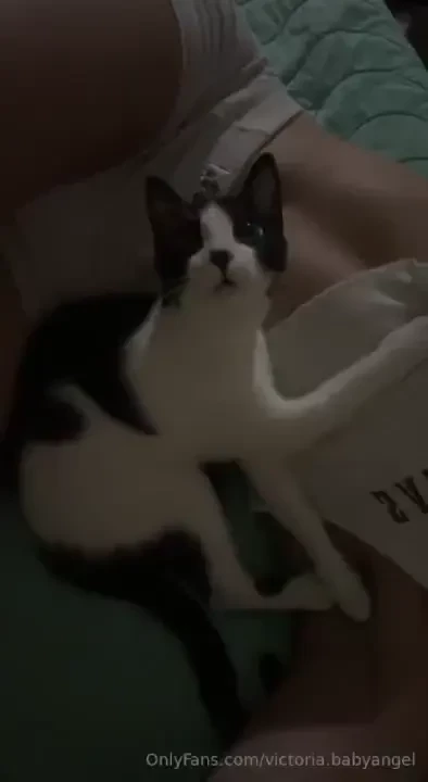 Just looking for a cuddle buddy for me and my cat 