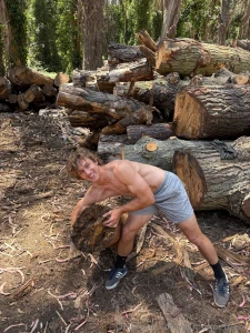 Huuuuge wood fan see my comment for full vids pix