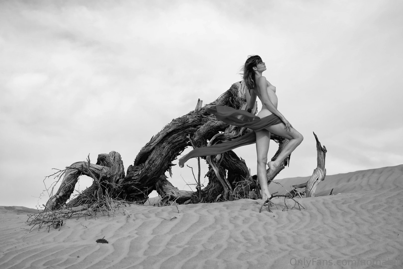 Vintage vault 8 i love sand dunes this photoset is so special to me 
