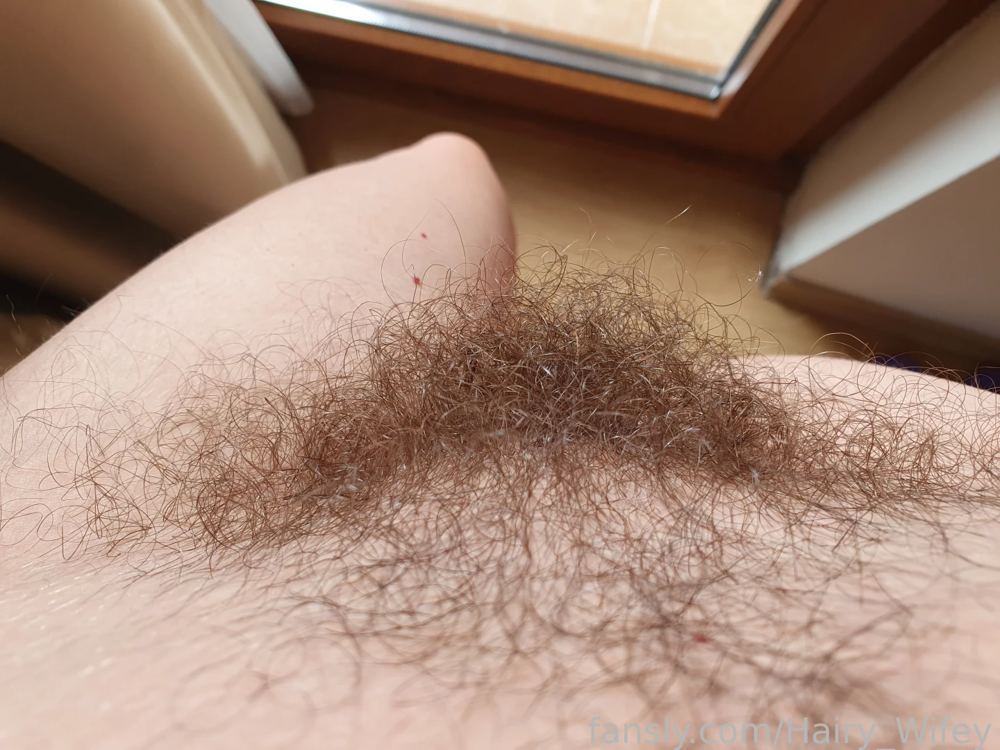 Freshly showered hairy hairypussy bush treasuretrail 
