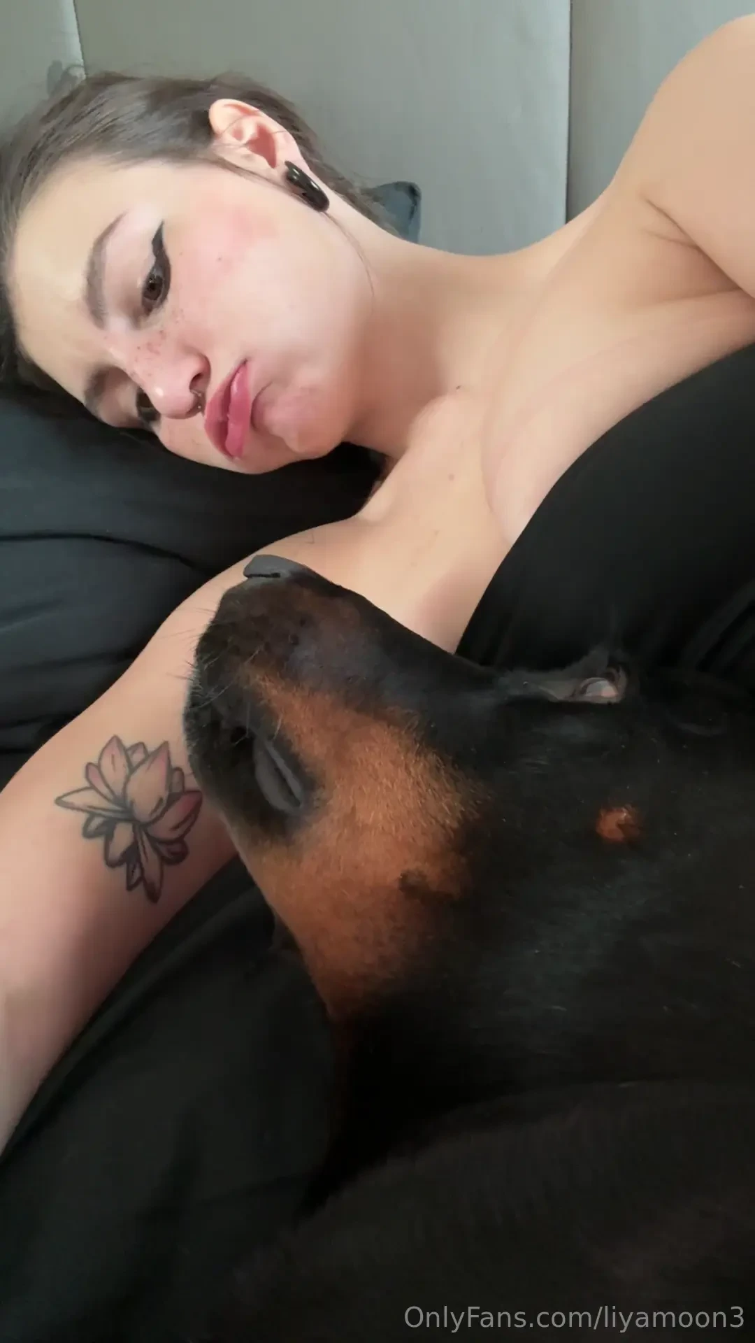 Every morning starts the same way with jack poking his nose in my 