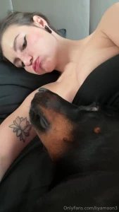Every morning starts the same way with jack poking his nose in my