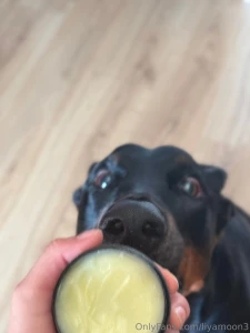 The morning doesn t start with coffee but with a run with jack fresh