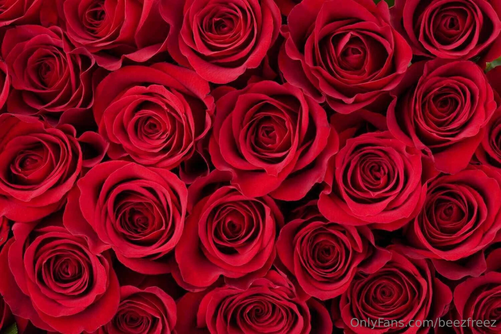 Happy valentines day i hope you have an amazing day and if you need part 1 