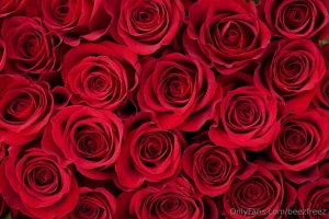 Happy valentines day i hope you have an amazing day and if you need part 1