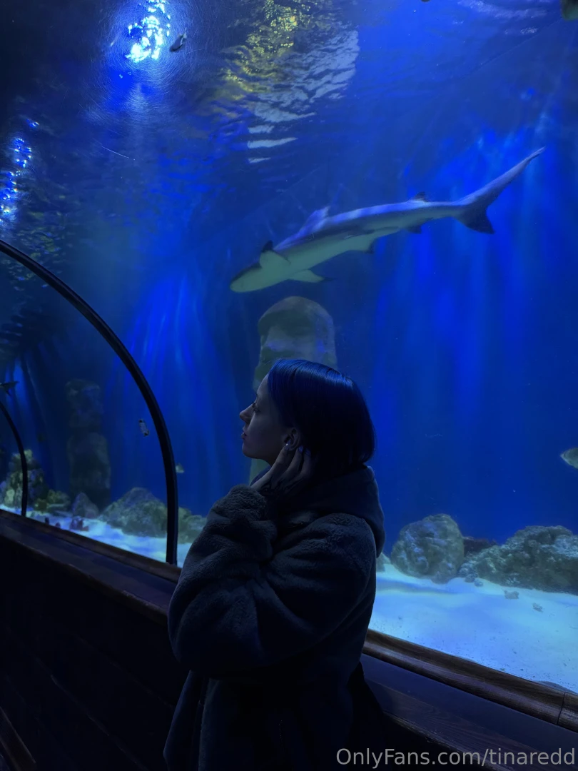 Oceanarium - a world full of wonders you walk through a tunnel and part 1 