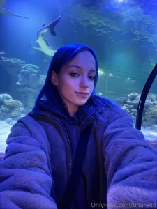 Oceanarium - a world full of wonders you walk through a tunnel and