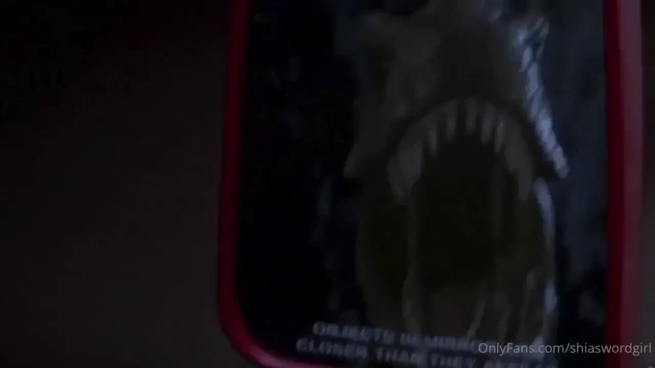 The history of dinosaurs rawwwwr hehee 