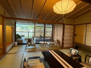 Just think of all the fun we d have in this room japan