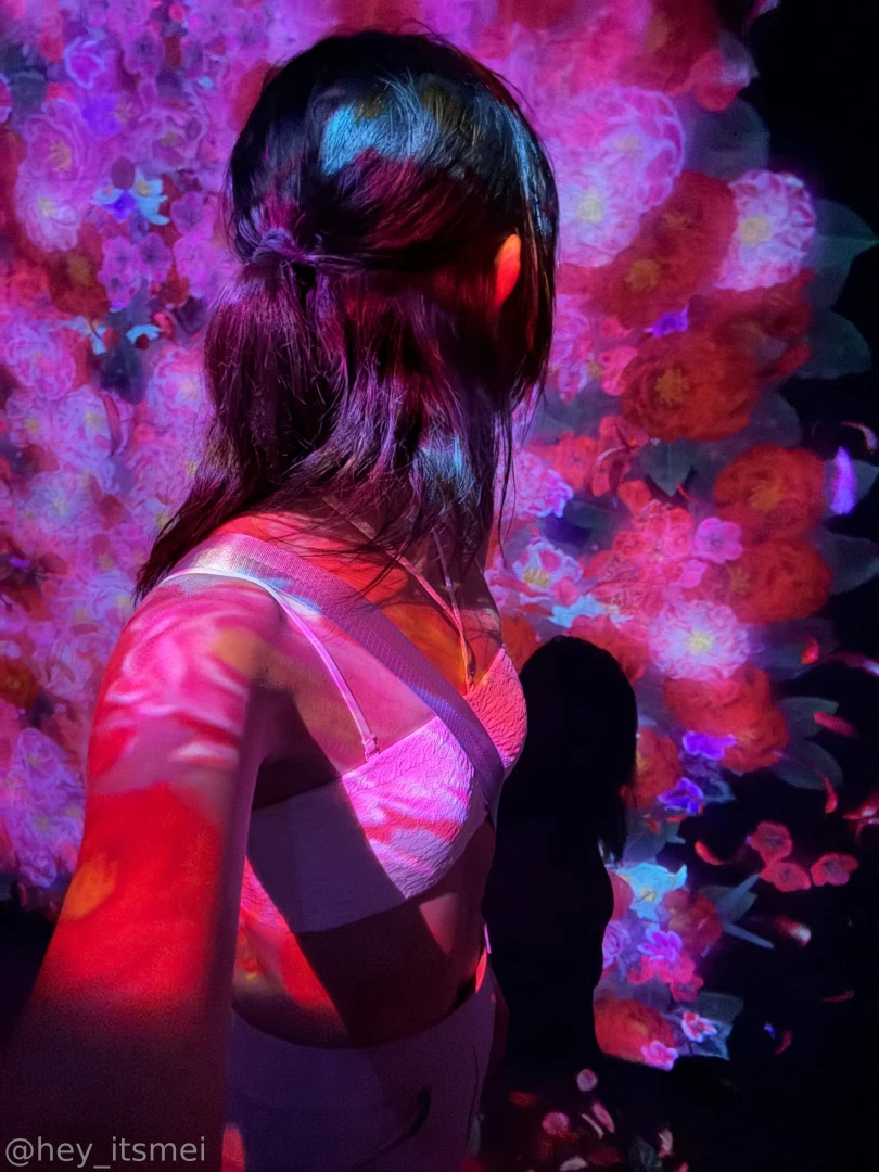 One of the coolest places we visited in japan was teamlab borderless - 