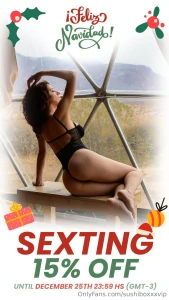 Last 2 days of christmas discounts part 1