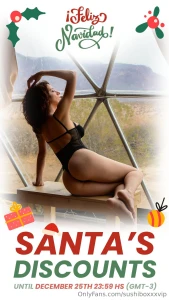 Last 2 days of christmas discounts part 2