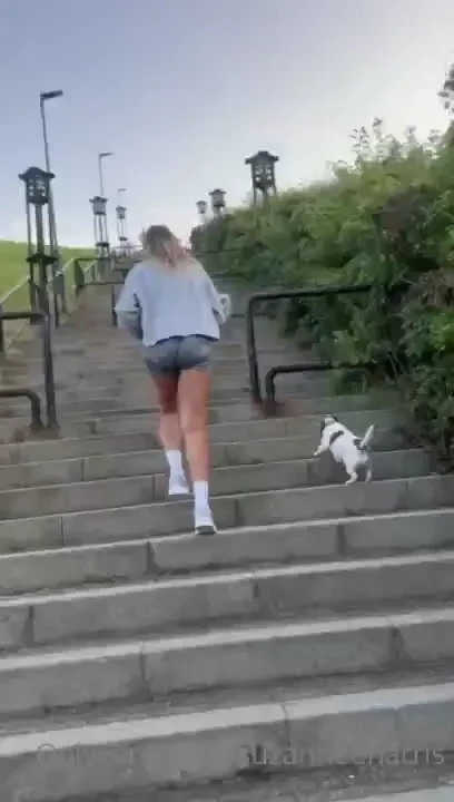 Last nights boot camp with the fur pack 