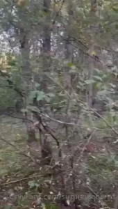 When you go for a walk the woods it s only natural to be naughty