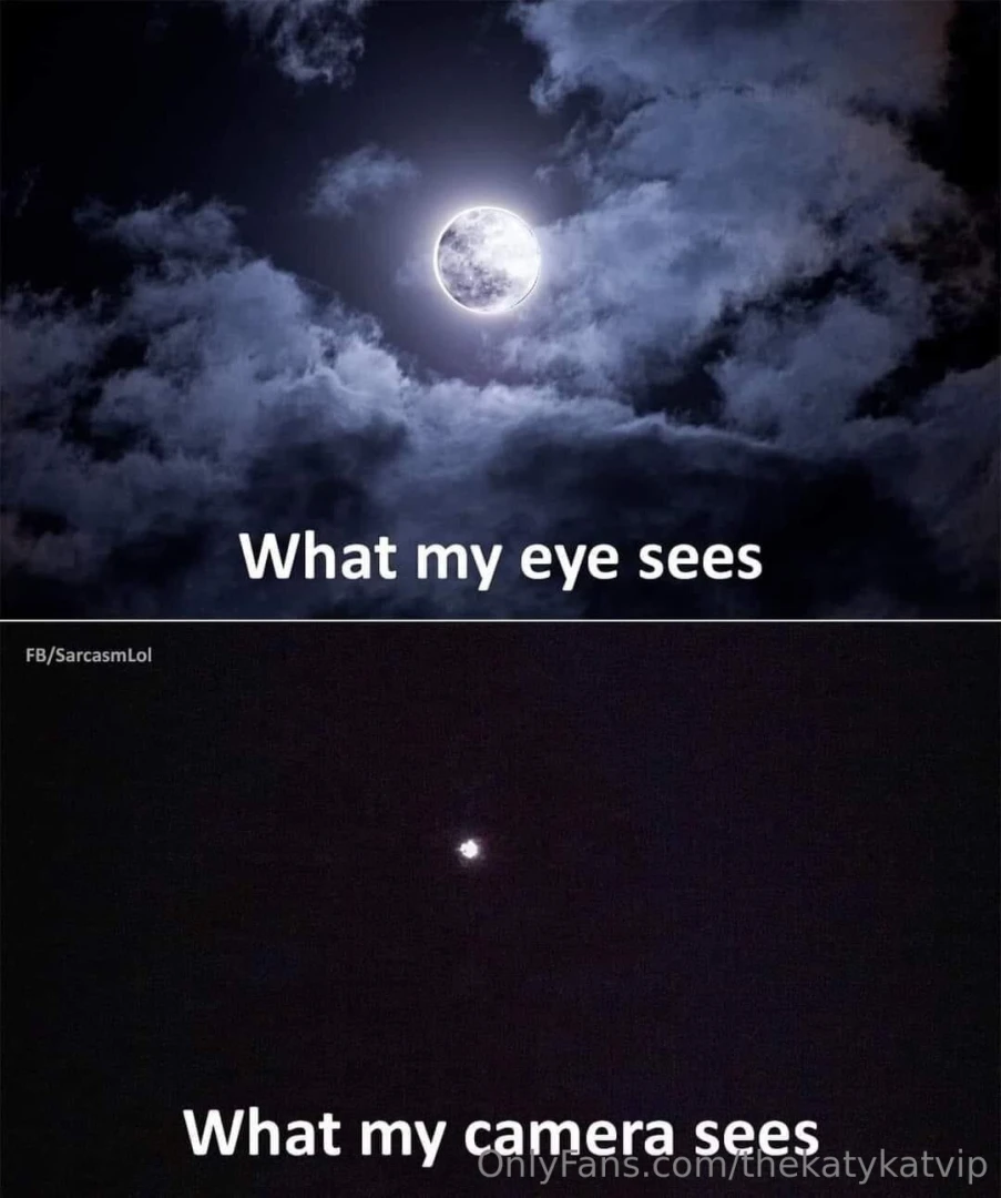 Meme of the day part 138 
