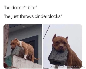 Meme of the day part 108