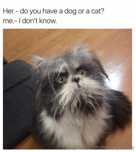 Meme of the day part 109