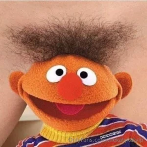 Meme of the day part 116