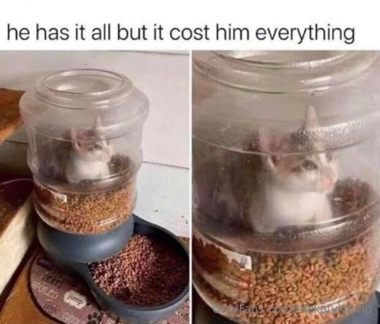 Meme of the day part 112 