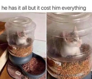 Meme of the day part 112