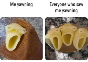 Meme of the day part 105