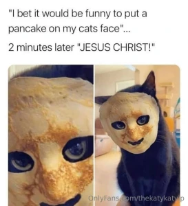 Meme of the day part 113